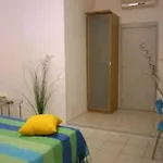 Pollon San Remo